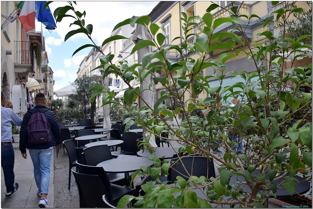 Best Coffee in Olbia: Cafés and Pastry Bars to Try