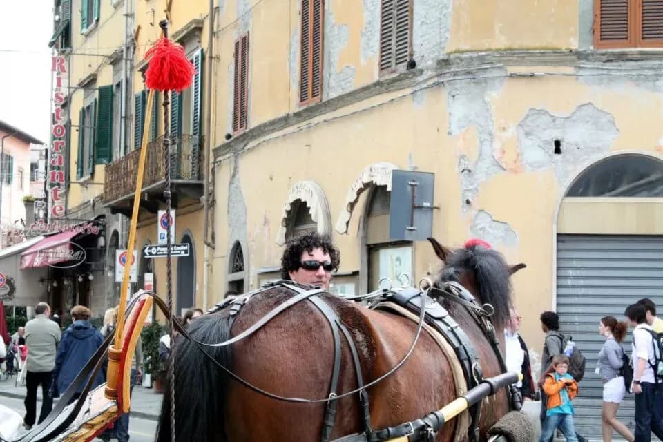 Gelateria De' Coltelli, Pisa: What to Order on the Lungarno
