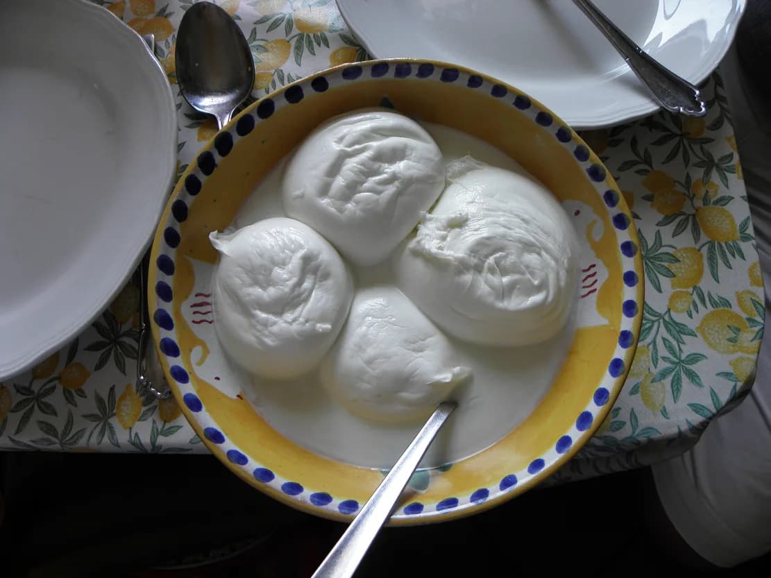 Mozzarella di Bufala: What It Is and How to Eat It in Italy