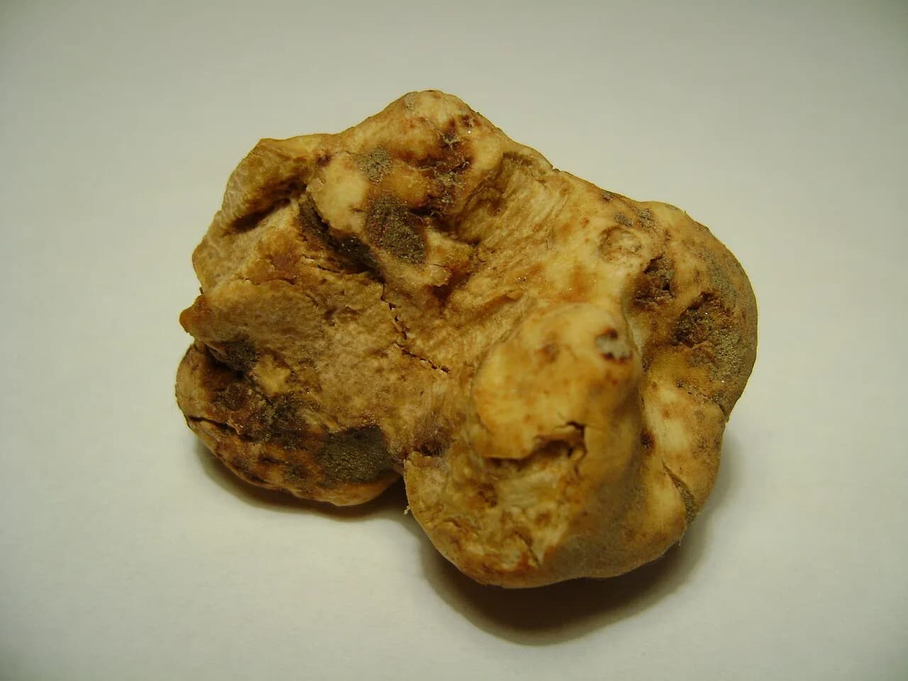 Italian Truffles: Types, Seasons and How to Eat Them
