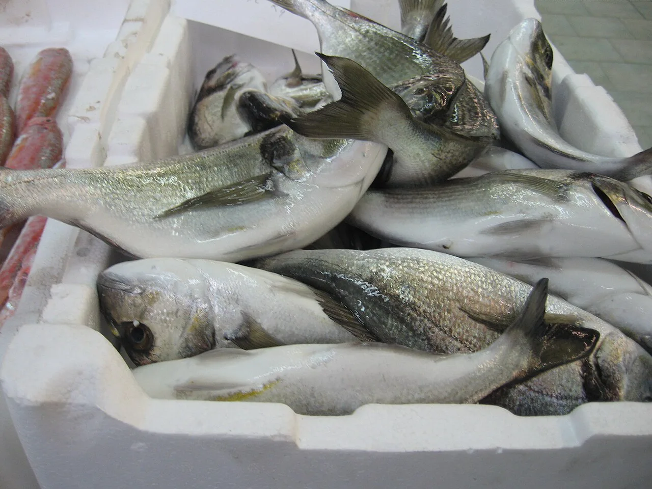 Sea bream on ice at a Cagliari market.
