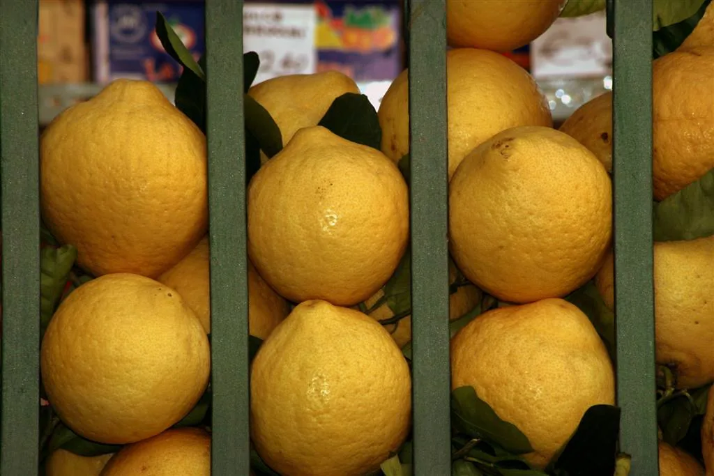 Lemons in Positano.