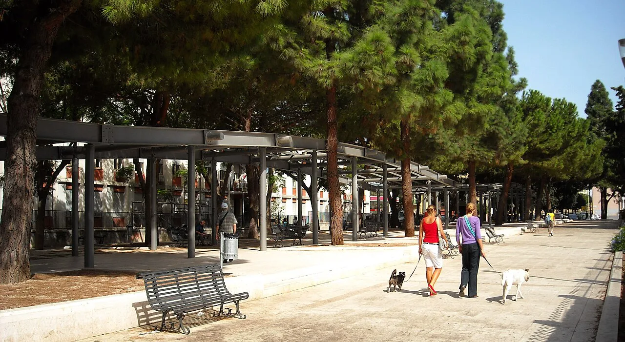 Tree-shaded square in Cagliari.