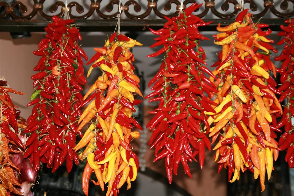 Strings of dried chillies in Positano.
