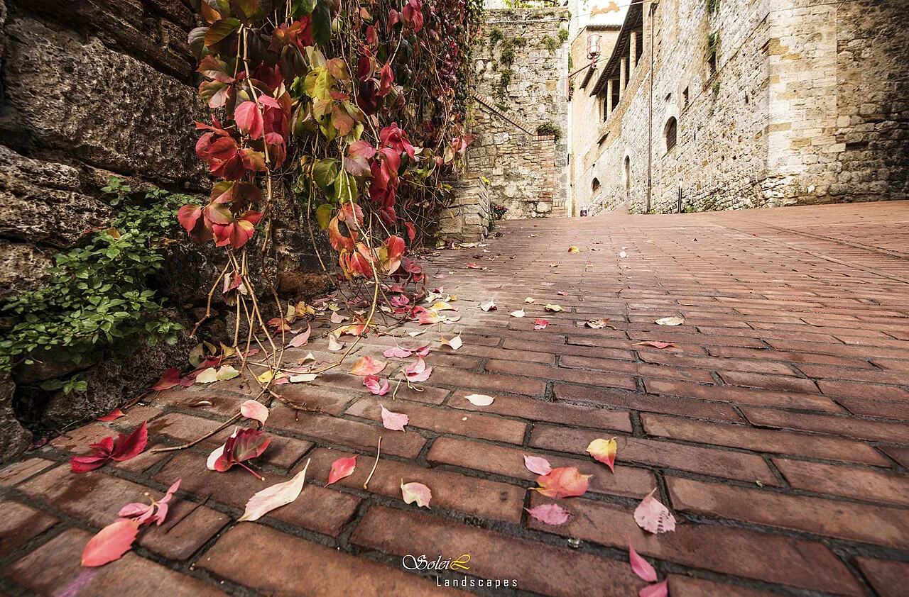Street in San Gimignano.
