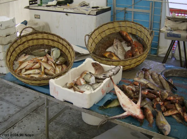Fish on a market stall in Cagliari.
