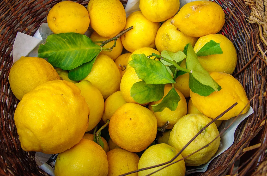 Basket of Cinque Terre lemons.
