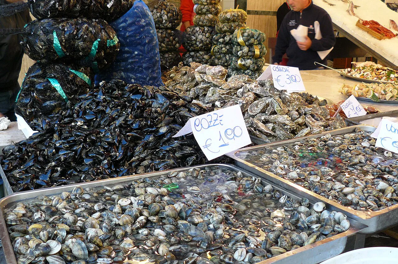 Shellfish on ice at an Italian fish market.