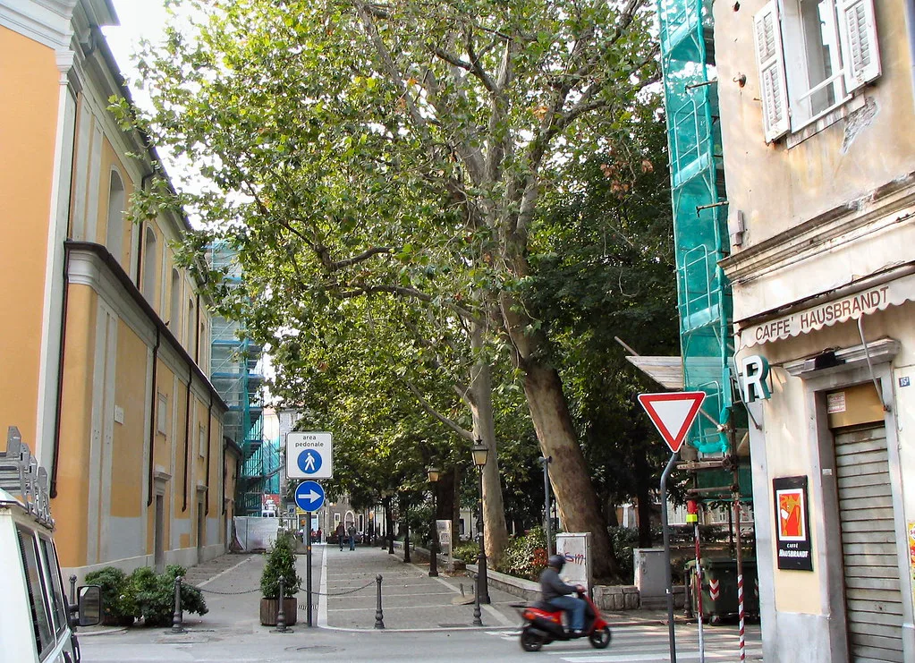 Piazza Hortis in Trieste.