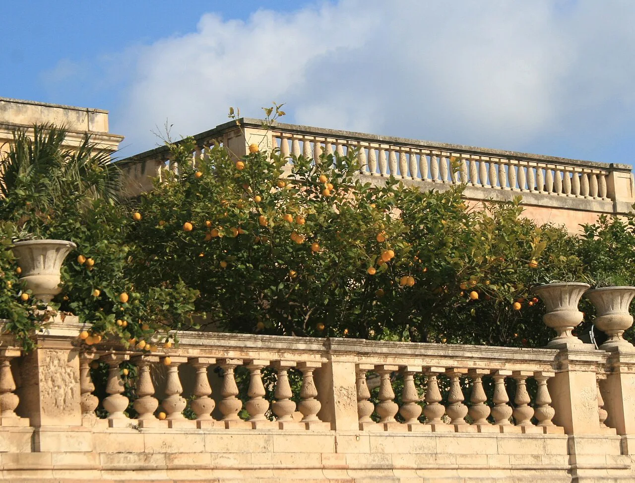 Lemons on a balustrade on Piazza Duomo, Syracuse.